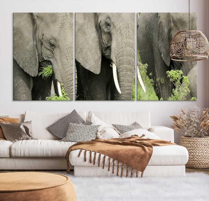 Arte de pared de elefante salvaje Lienzo