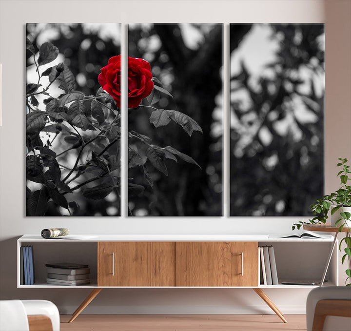 Rosa roja con fondo blanco y negro Love Canvas Wall Art Print Rose Canvas Art Love Artwork para parejas Alta calidad Regalo perfecto para los amantes Enmarcado listo para colgar Decoración de pared de múltiples paneles