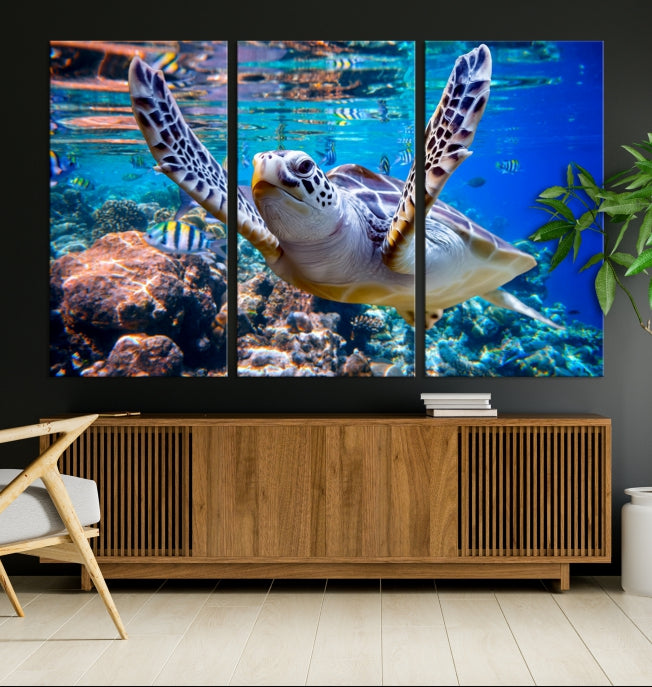 Turtle and Ocean Life Wall Art Canvas Print