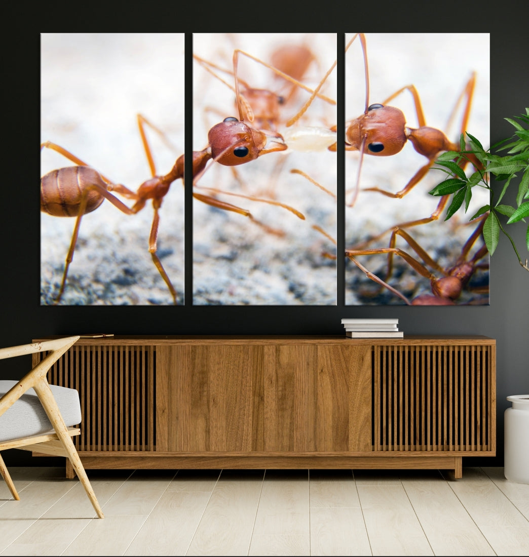 Ants Wall Art Canvas Print