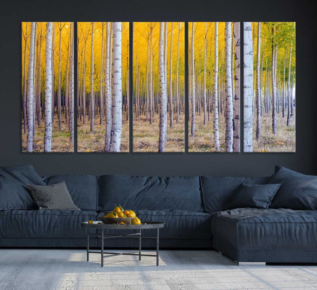 Birch Trees Forest in Autumn Wall Art Print