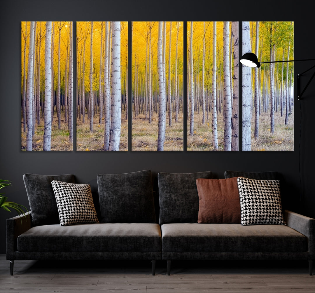 Forêt de bouleaux en automne, impression murale