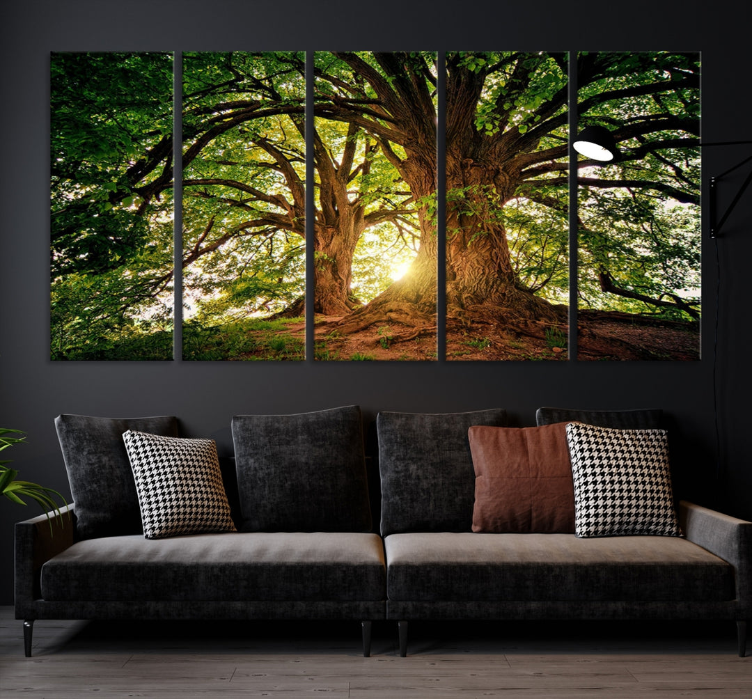Grands vieux arbres et soleil Wall Art Impression sur toile