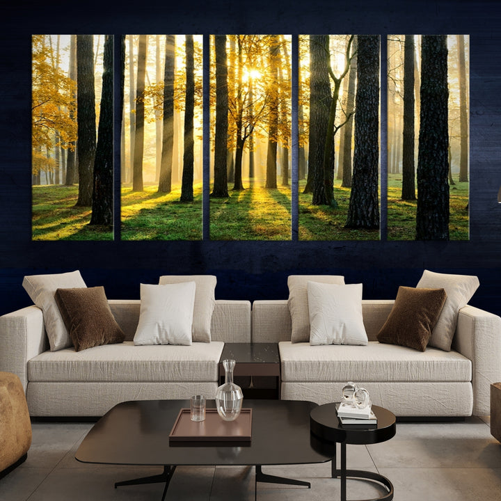 Impresión en lienzo de paisaje de arte de pared grande - Árboles altos en el bosque al atardecer