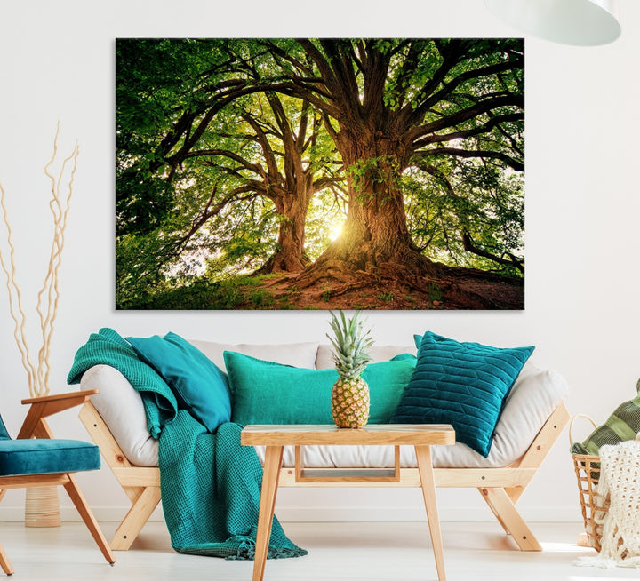 Lienzo decorativo para pared con grandes árboles viejos y sol