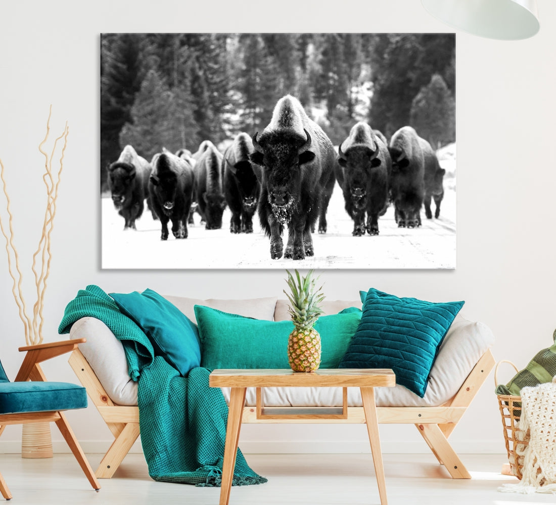 Buffalo Herd Wall Art Canvas Print, Bison Canvas Print