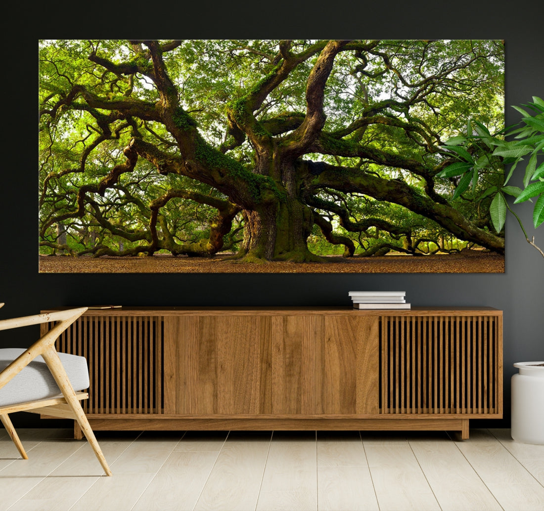 Large Mighty Angel Oak Wall Art | Angel Oak Tree Art Print | Large Canvas Print | Framed Canvas | Extra Large Wall Art | Angel Oak Canvas