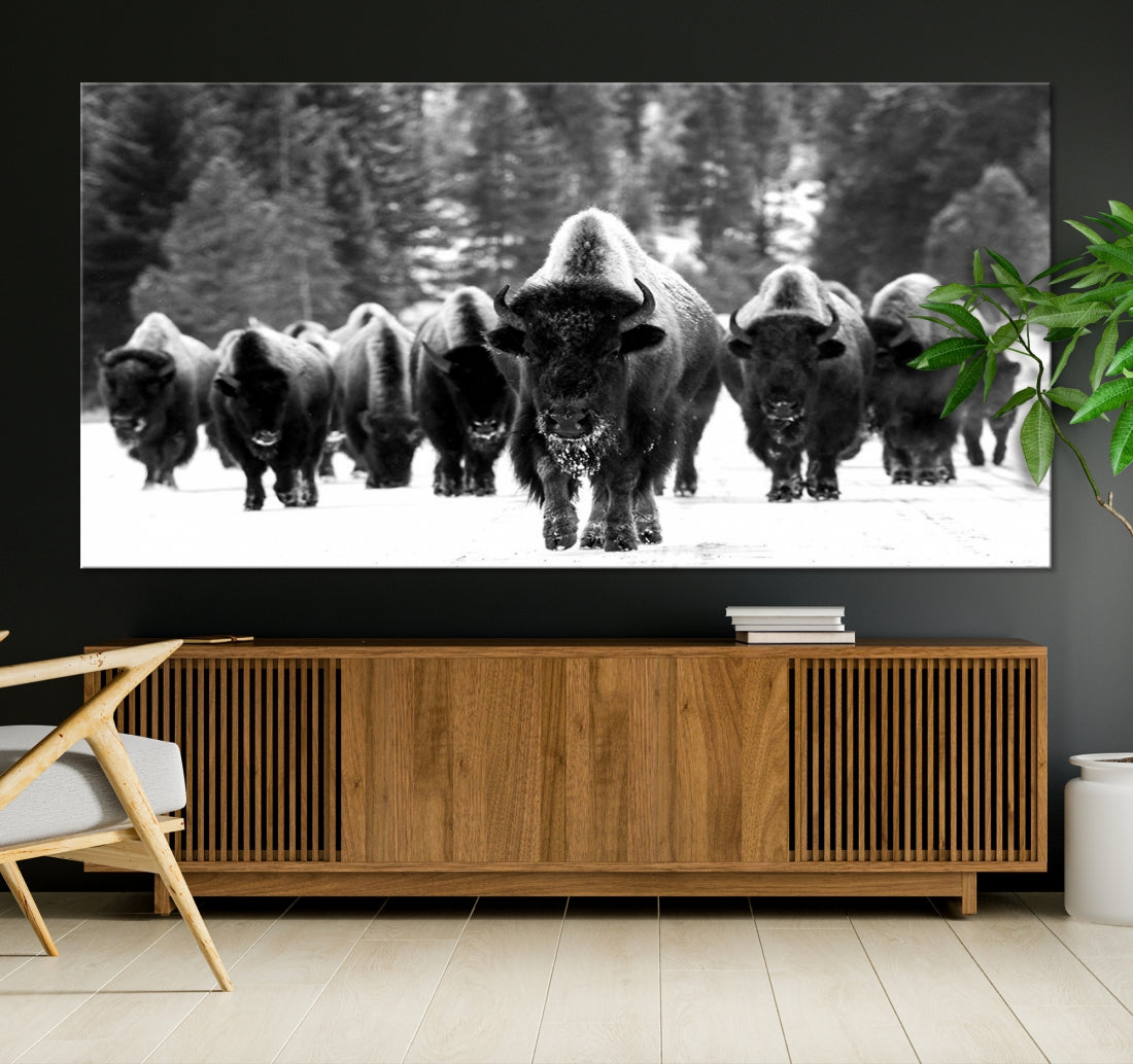 Buffalo Herd Wall Art Canvas Print, Bison Canvas Print