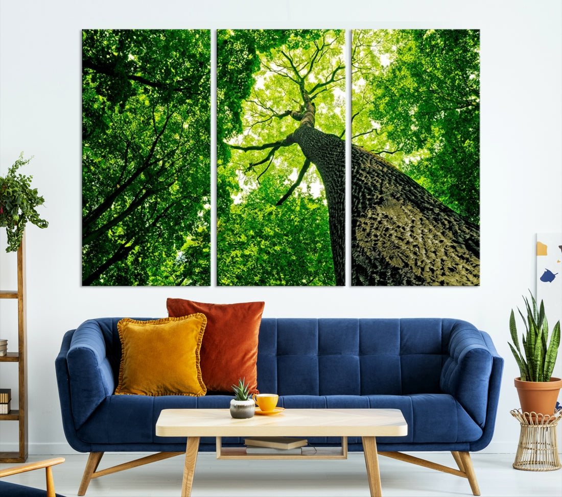 Large Wall Art Landscape Canvas Print - Green Tree View Taken from Ground Through the Top
