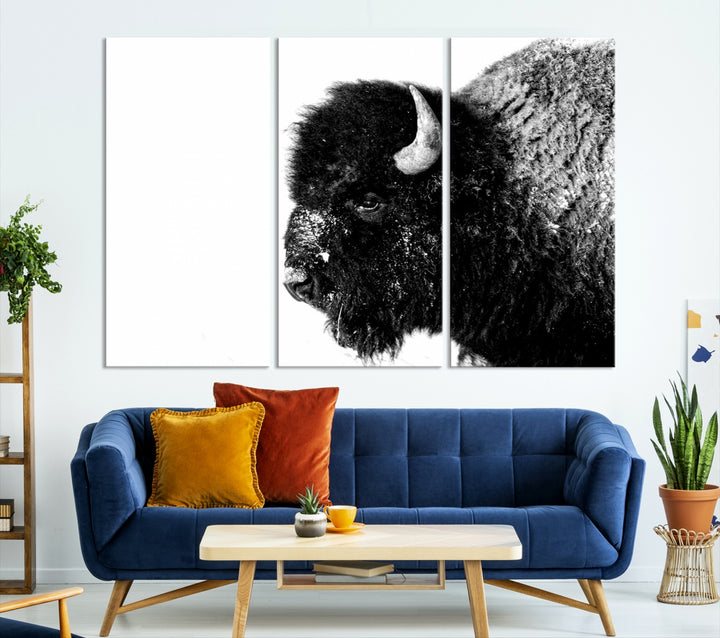 Buffalo Wall Art Canvas Print, Bison Print