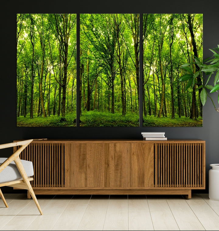 Impresión en lienzo de paisaje de arte de pared grande - Vista panorámica de un bosque verde