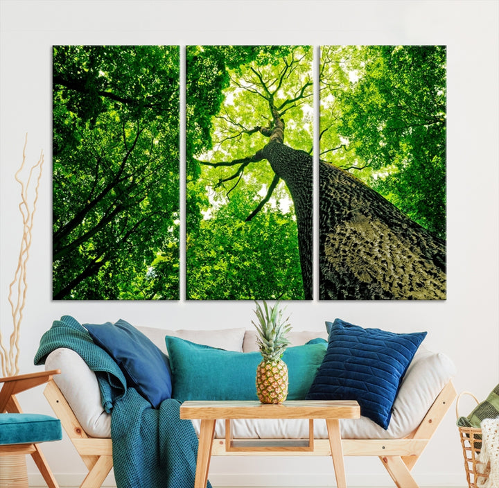 Wall Art Landscape Canvas Print Green Tree View Taken from Ground Through the Top