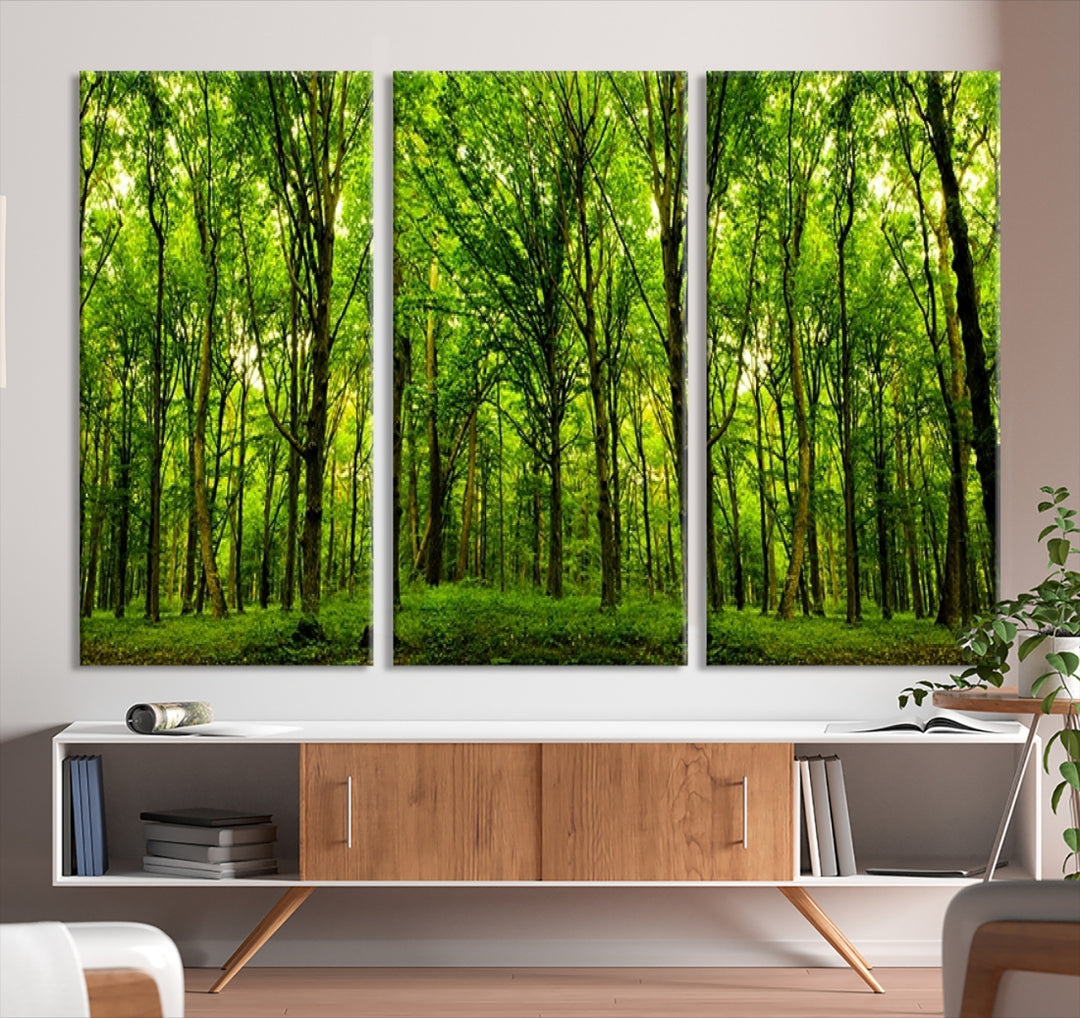 and Large Wall Print, Forest Canvas Print, – MyGreatCanvas | Canvas Wall Art Prints | Photo Prints & Wall Decor