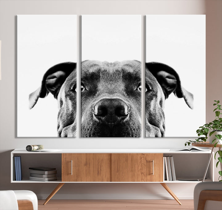 Art mural de chien Pit Bull noir et blanc Impression sur toile