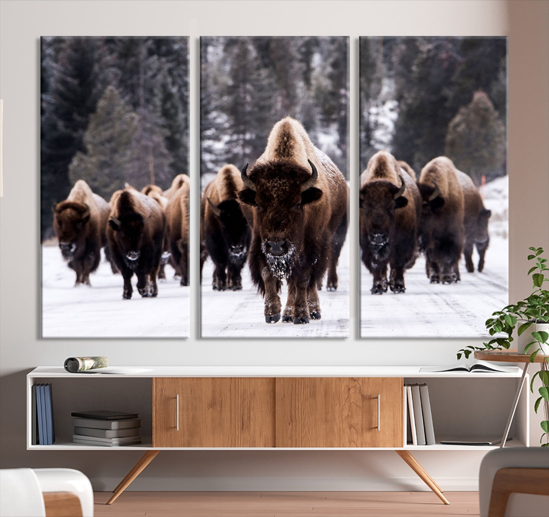 Buffalo Family Wall Art Canvas Print, Bison Wall Art Canvas