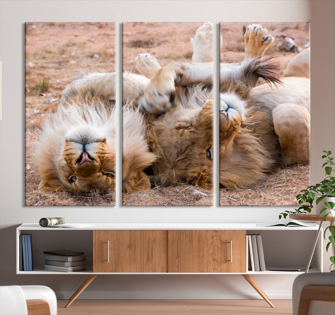 Animal Wall Art Lion Canvas Print