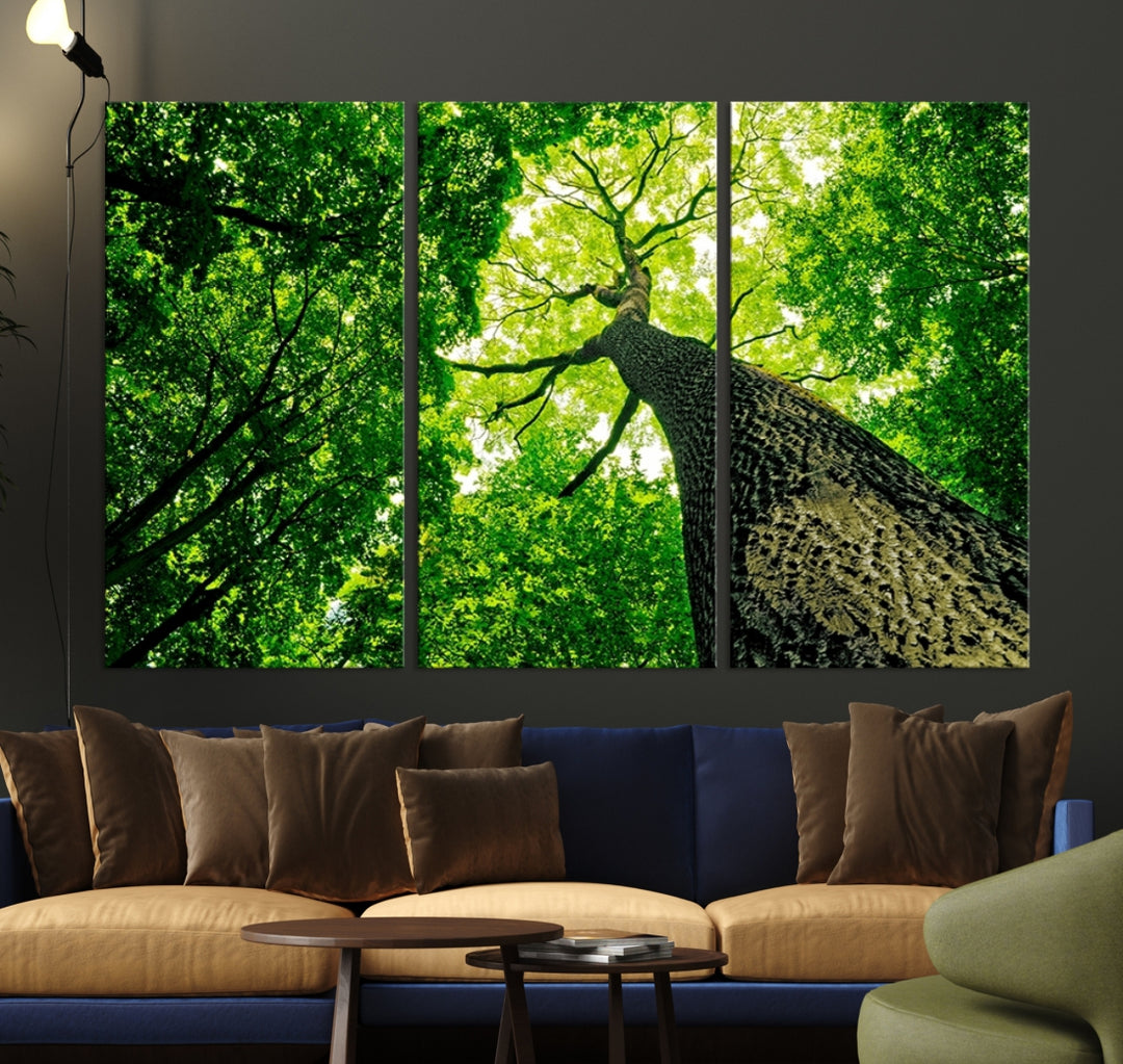 Impression sur toile de paysage d'art mural, vue d'arbre vert prise du sol à travers le haut