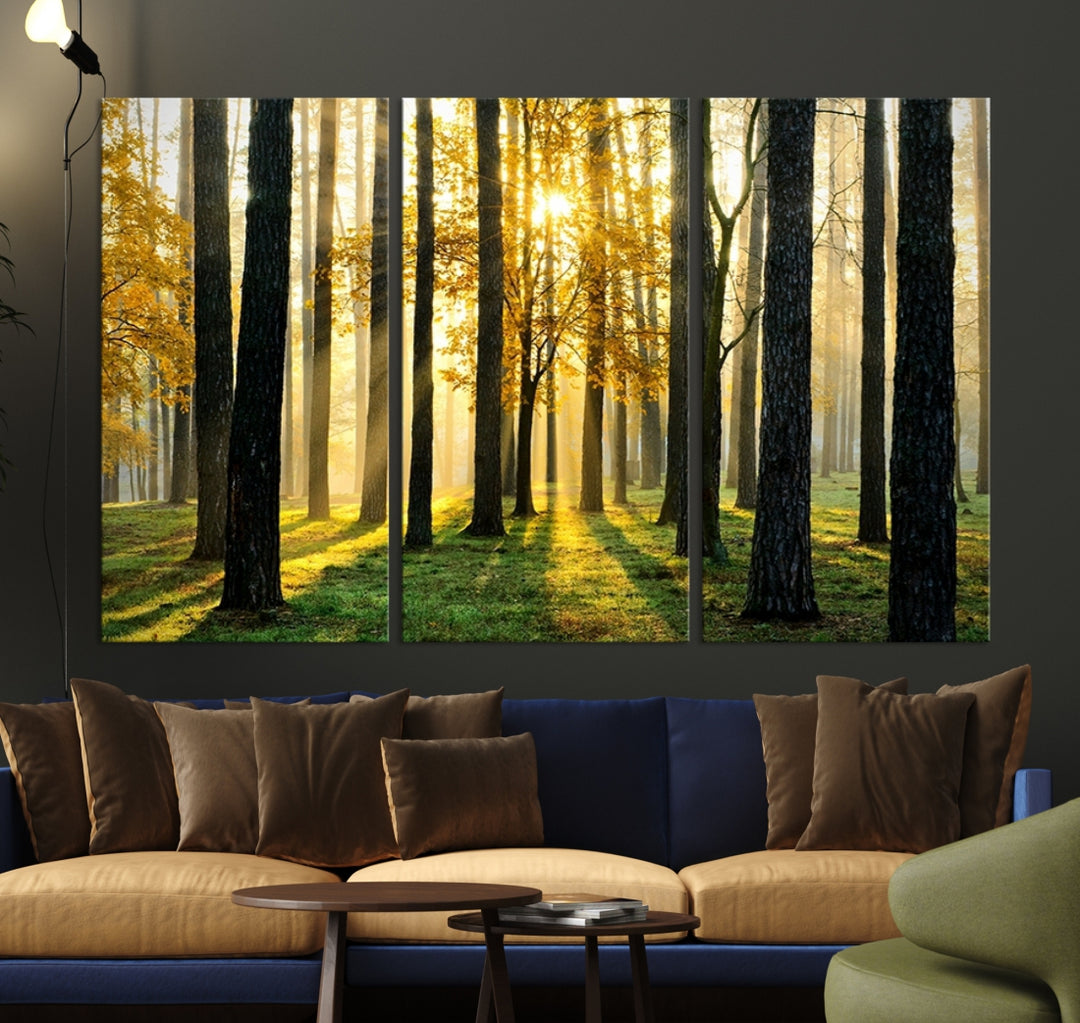 Impresión en lienzo de paisaje de arte de pared grande - Árboles altos en el bosque al atardecer