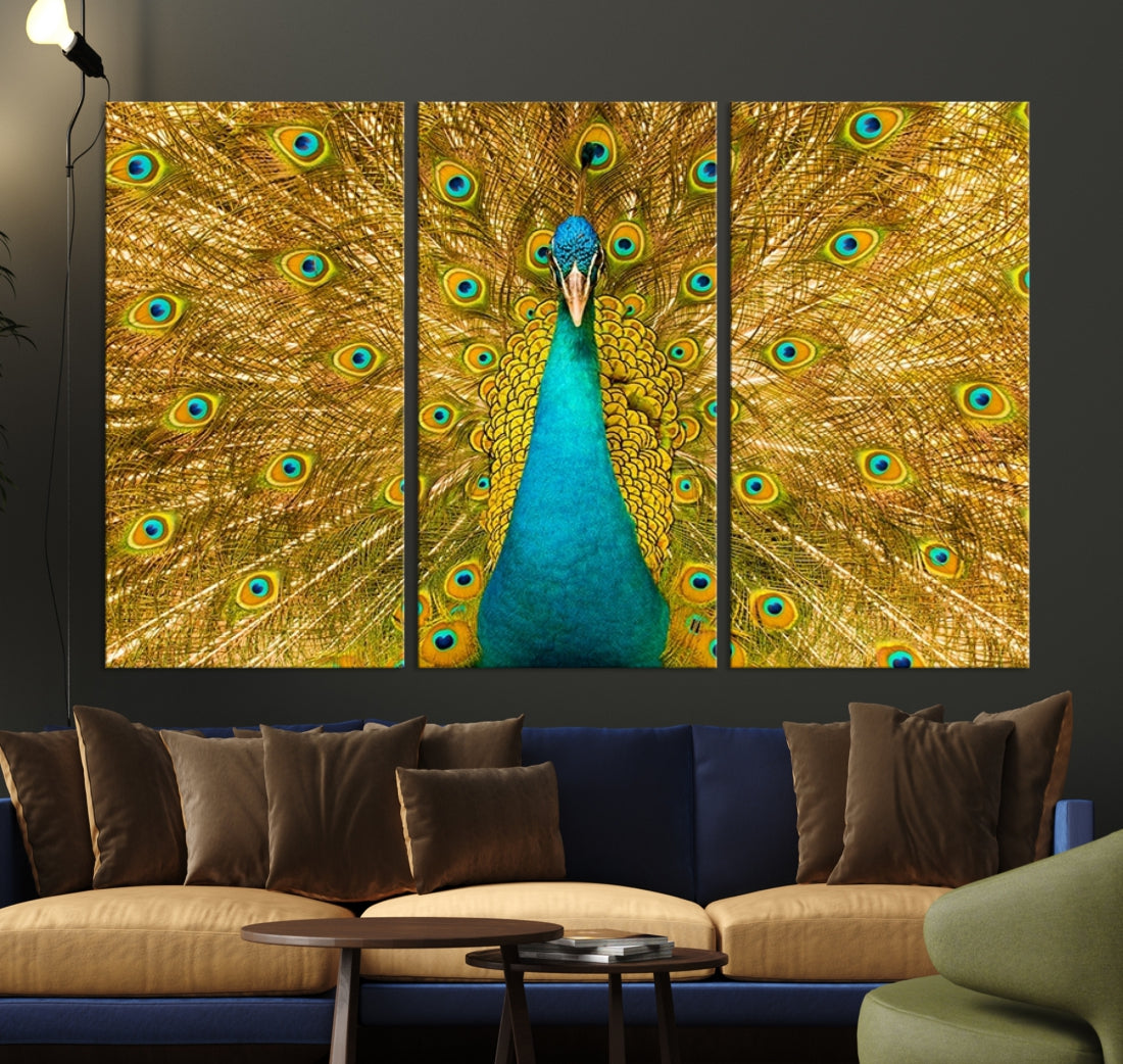 80723 - Peacock Large Wall Art Canvas Print