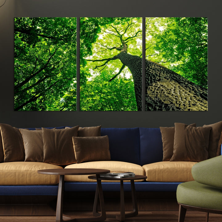 Wall Art Landscape Canvas Print Green Tree View Taken from Ground Through the Top