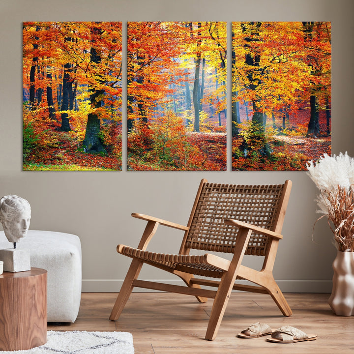Autumn Forest Canvas Print Wall Art
