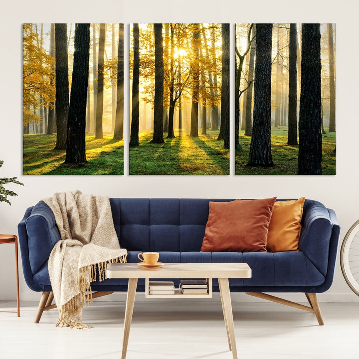 Impression sur toile de paysage d'art mural, grands arbres dans la forêt au coucher du soleil