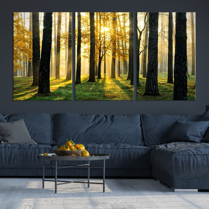 Impression sur toile de paysage d'art mural, grands arbres dans la forêt au coucher du soleil