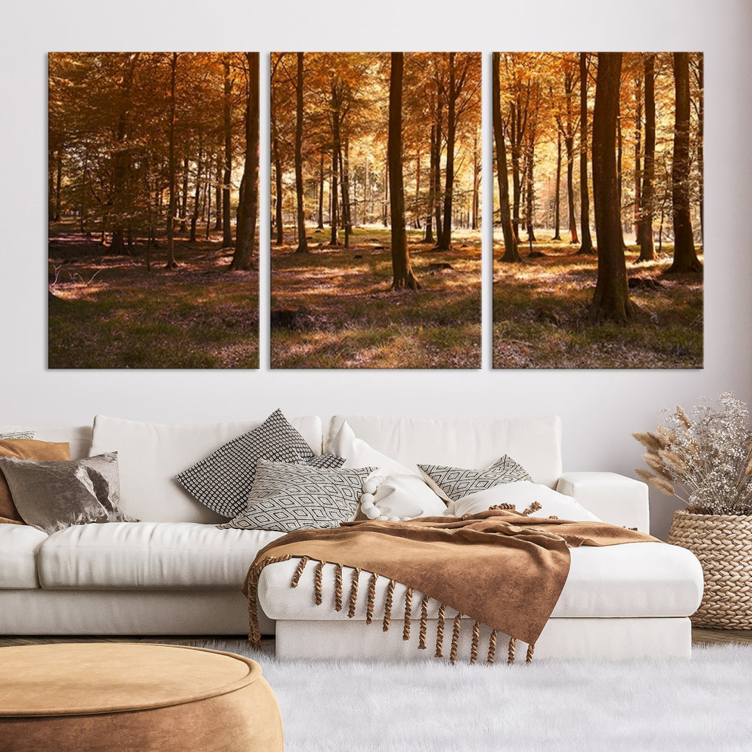 Art mural Vue panoramique d'une forêt en automne Impression sur toile