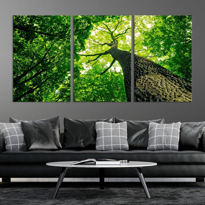 Impression sur toile de paysage d'art mural, vue d'arbre vert prise du sol à travers le haut