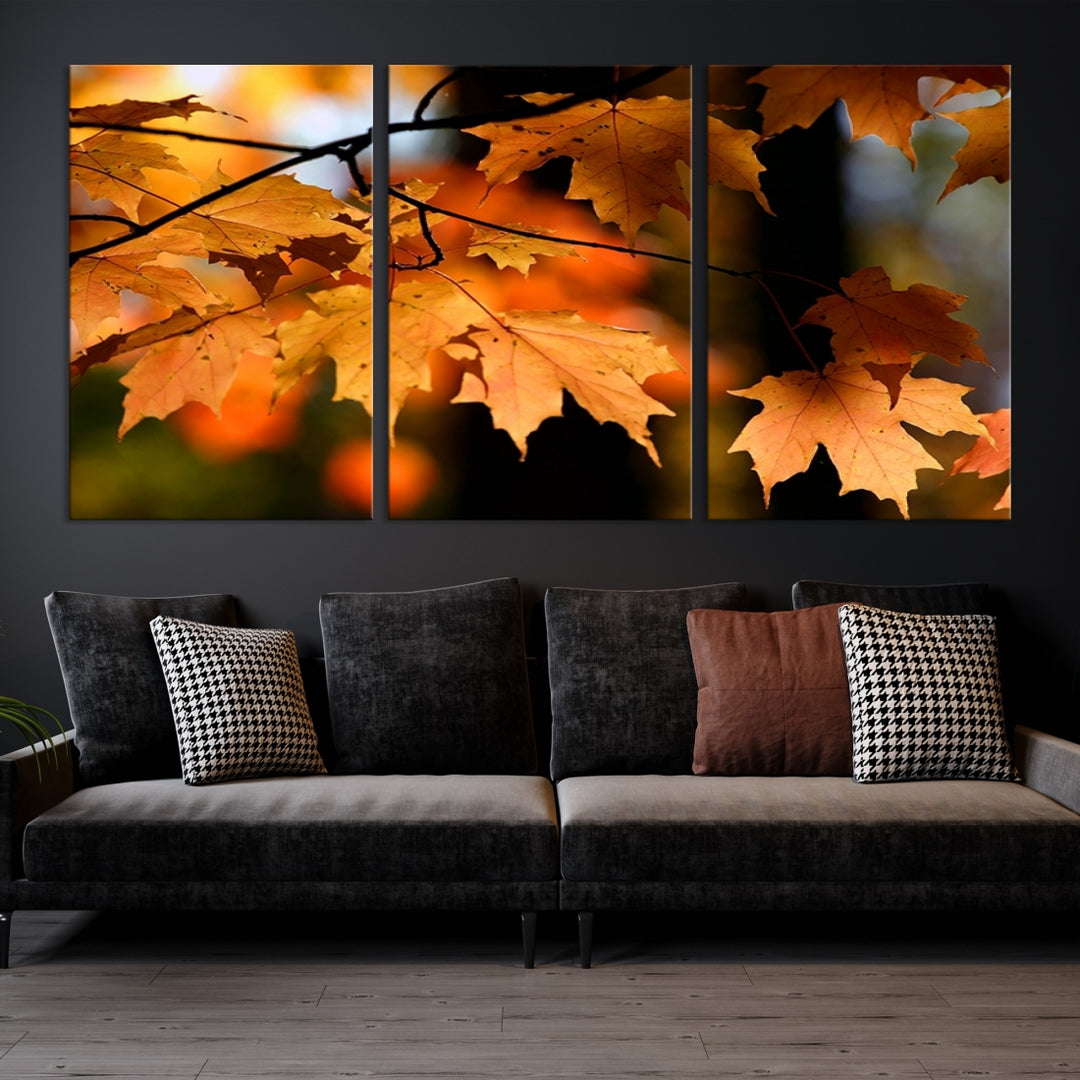 Yellow Leaves on Tree in Autumn Fall Canvas Print